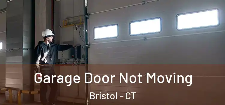  Garage Door Not Moving Bristol - CT