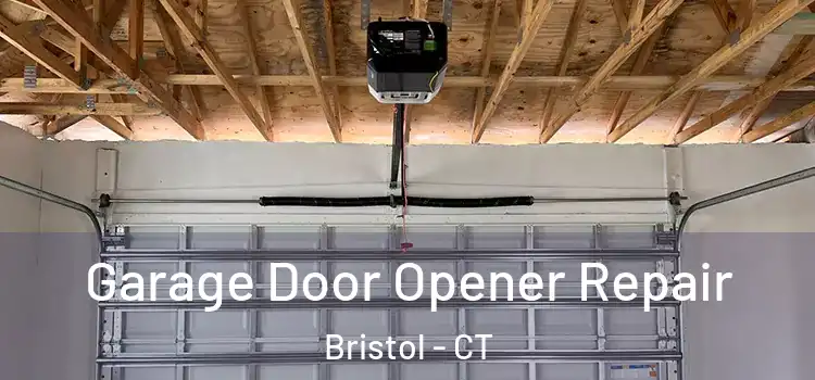  Garage Door Opener Repair Bristol - CT