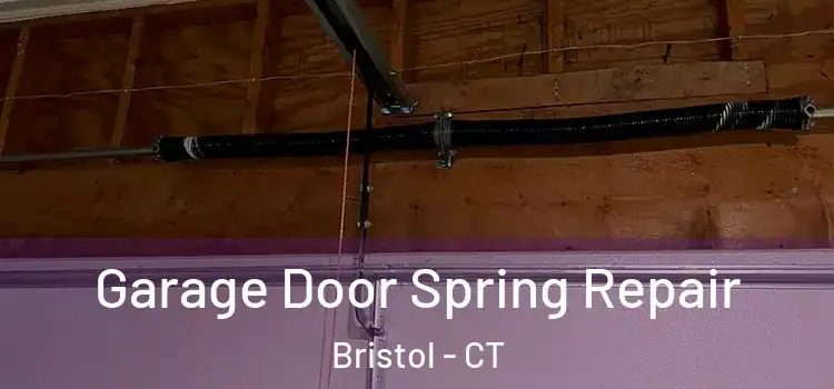  Garage Door Spring Repair Bristol - CT