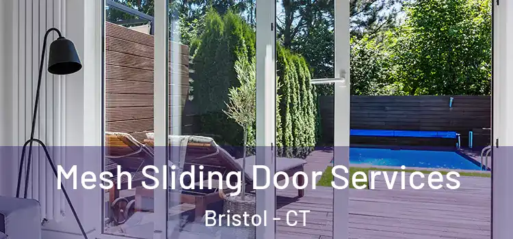 Mesh Sliding Door Services Bristol - CT