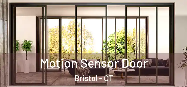  Motion Sensor Door Bristol - CT